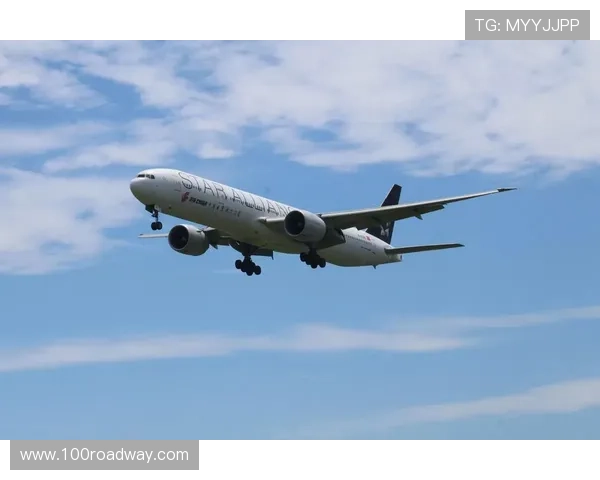 星空联盟：打造全球航空合作新纪元 连接世界与未来的空中桥梁