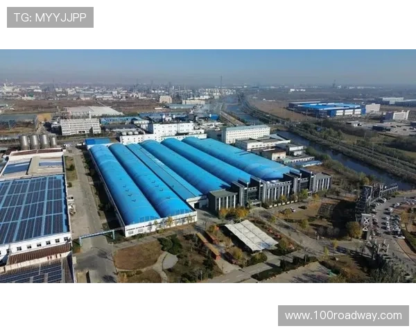 聚焦东升地毯集团有限公司引领地毯产业高质量发展新篇章战略创新